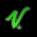 Mushroom and Psychedelics Discord Server Logo