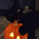 CatWalkers Official Discord Server Logo