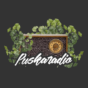 Puskaradio Discord Server Logo
