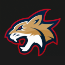 UArizona Wildcat Gaming Club Discord Server Logo