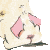 Final Fantasy TCG (FFTCG) Discord Server Logo
