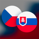 🌐 Cesko-slovenska Komunita (CZ/SK Discord) Discord Server Logo