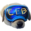 CFBcord Discord Server Logo