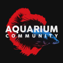 Aquarium Community Discord Server Logo