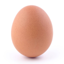 EGG Discord Server Logo