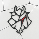 G2 Esports Discord Server Logo