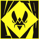 TEAM VITALITY Discord Server Logo