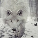 USA Discord Server Logo