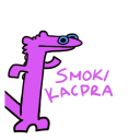 🐲Smoki Kacpra🐉 Discord Server Logo