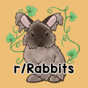 Rabbitors Discord Server Logo