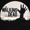 💠 TWD Discord Server Logo