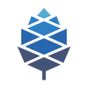 PINE64 Discord Server Logo