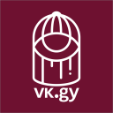 vkgy Discord Server Logo