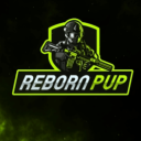 RebornPVP Discord Server Logo