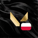 VALORANT Polska Discord Server Logo