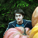 Harry Potter Discord Server Logo