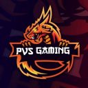 PVS GAMING Discord Server Logo