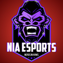 NiA eSports PUBG Discord Server Logo