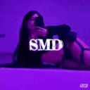 SMD Discord Server Logo