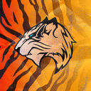 UST Teletigers Esports Club Discord Server Logo