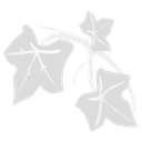 BANOV 🛸 Discord Server Logo