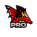 The Pro Nation Discord Server Logo