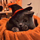 Cat Hut 👻 Discord Server Logo