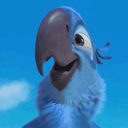 Rio Discord Server Logo
