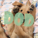 Dogs of Discord Discord Server Logo