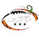Old Collegiate Football Association Discord Server Logo