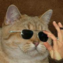 Tom's Lounge with CATS Discord Server Logo