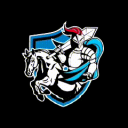 Blaze of Knights© Discord Server Logo