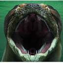 Snake Survival Discord Server Logo
