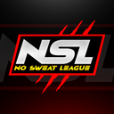 NSL Discord Server Logo