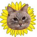 STARDENBURDENHARDENBART! Discord Server Logo
