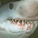 Oh muie que ta lendo Discord Server Logo