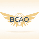 Bloxburg Civil Aviation Organization Discord Server Logo