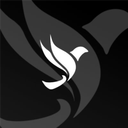 Avela Airways Discord Server Logo