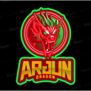 Dragon's Lair Discord Server Logo