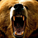 🐻𝐎𝐒𝐎𝐒 𝐌𝐈𝐍𝐆𝐎𝐒𝐎𝐒 Discord Server Logo