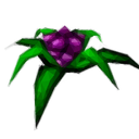 Sefaris Discord Server Logo