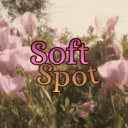 Soft Spot ✩‧₊˚ Discord Server Logo