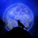 The Wolf Pack Discord Server Logo