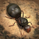 The Ants Official Discord Server Logo