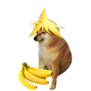 Roleo de Bots Discord Server Logo