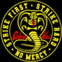 🐍Cobra Kai Server🐍 Discord Server Logo