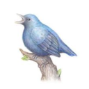 Vibin' Land Discord Server Logo