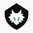 Nifty Shield Discord Server Logo