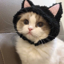 ₊˚ᘏ🍜﹕cats． 𓂃 ꜝꜝ Discord Server Logo