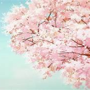 Panda's Sakura Tree [HQ] Discord Server Logo